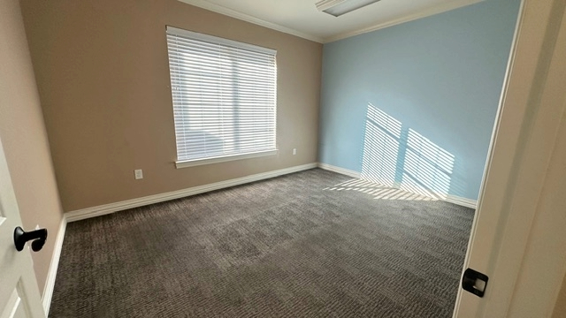 Adobe Express file 1